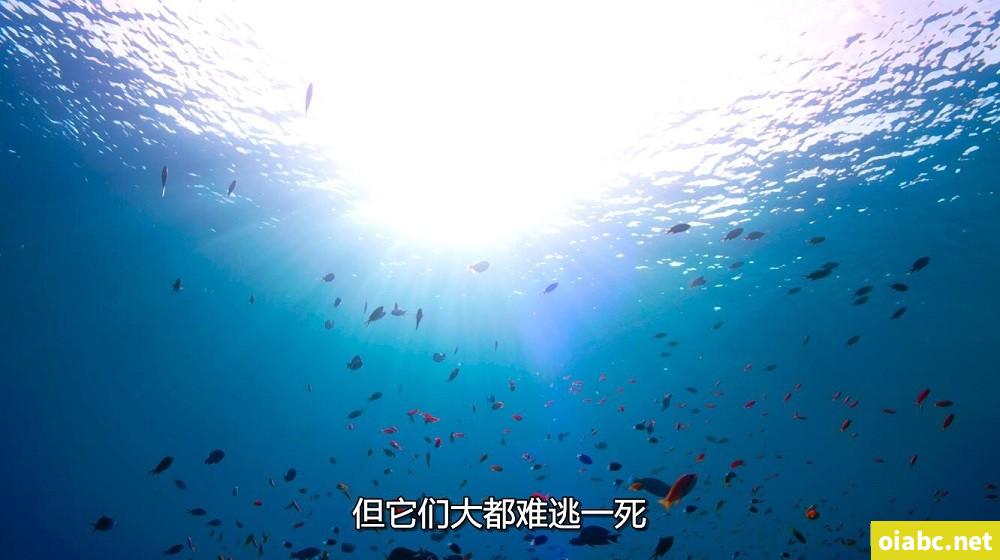 女性机器人下身结构剧照1
